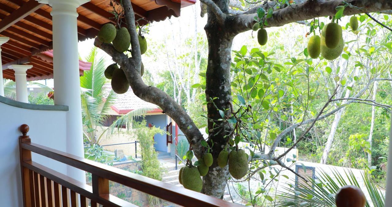 Terrace Garden Ayurveda Resort Weligama Exterior foto