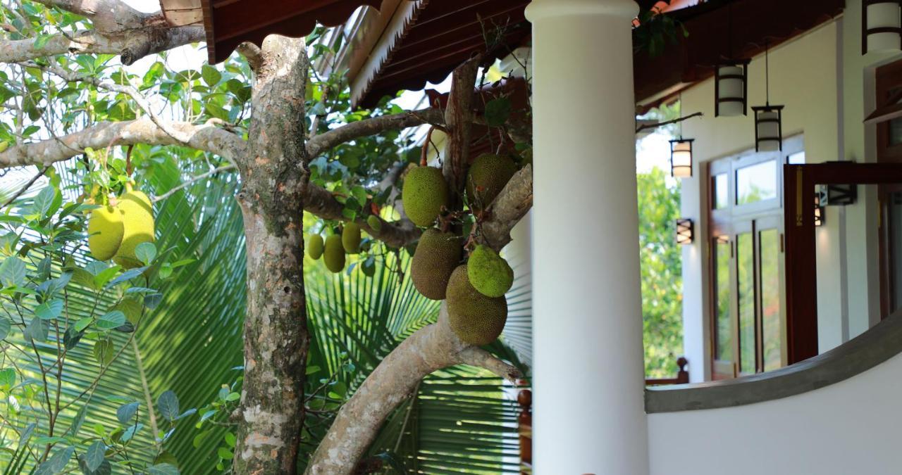 Terrace Garden Ayurveda Resort Weligama Exterior foto